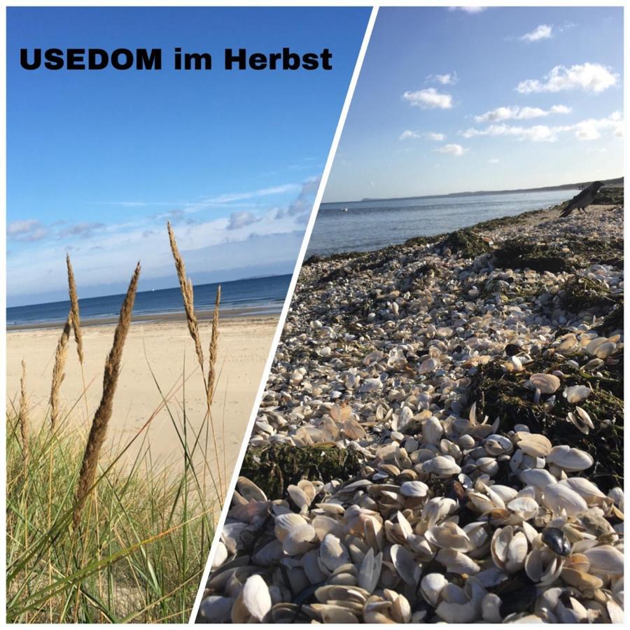 Ferienhaus Mit Terrasse - Insel Usedom Trassenheide Extérieur photo